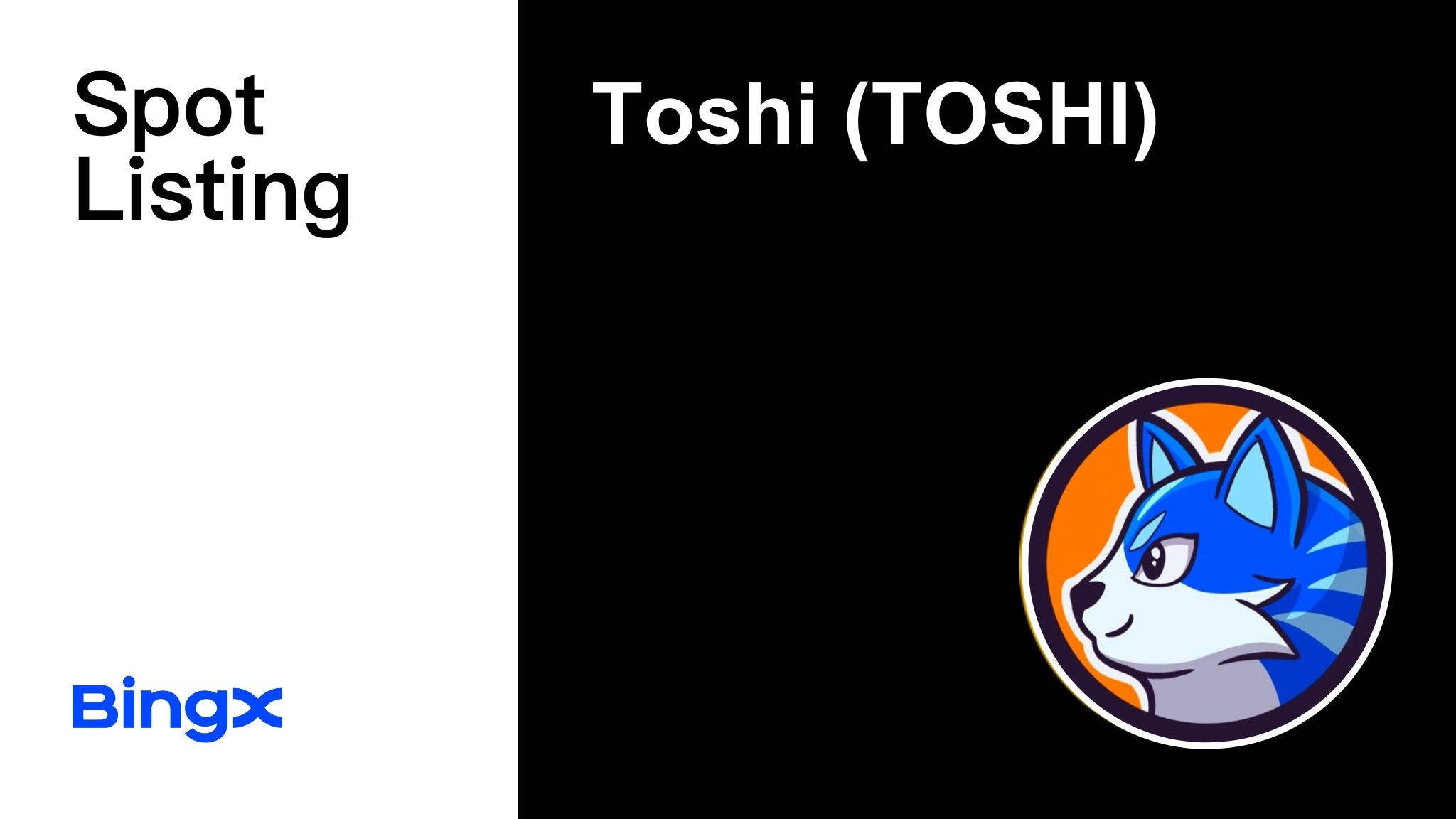 TOSHI.jpg