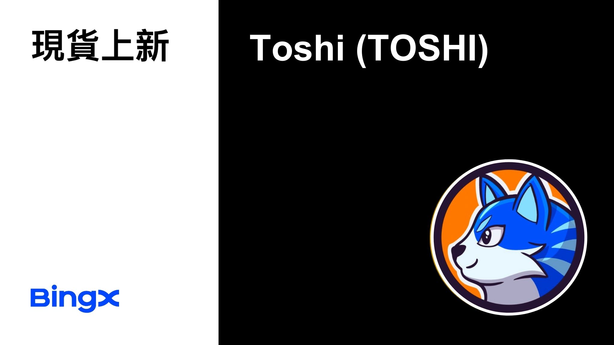 TOSHI_CN.jpg