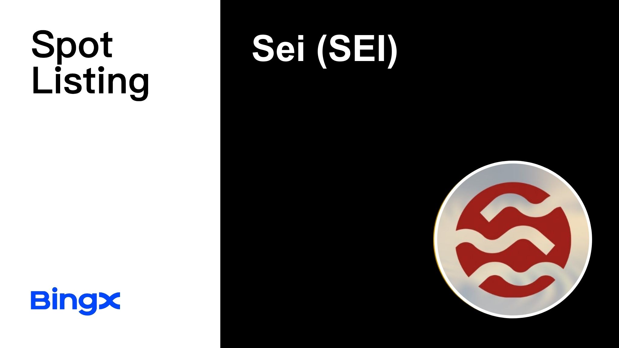 SEI.jpg